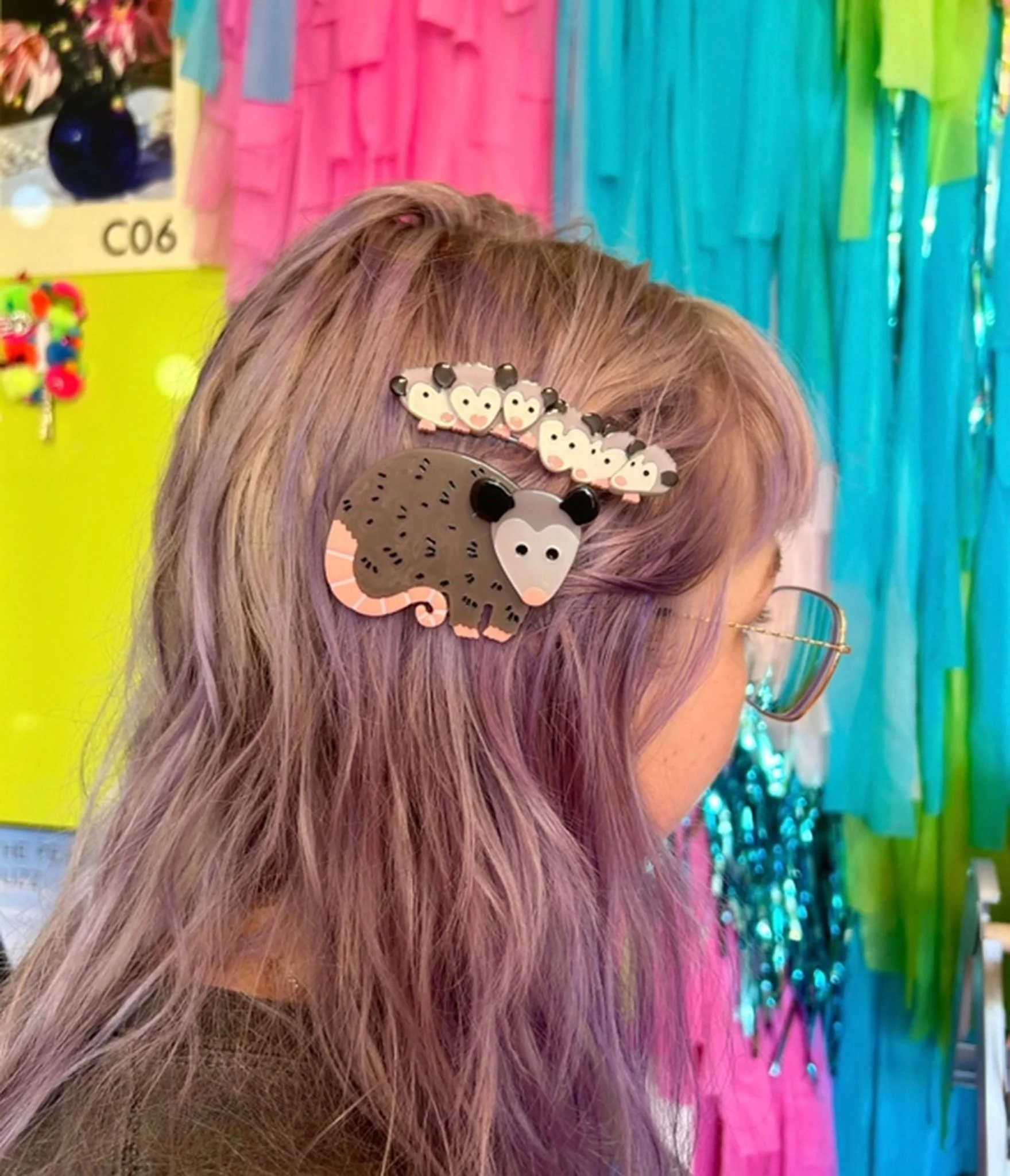 Opossum Family Hair Clip Set
