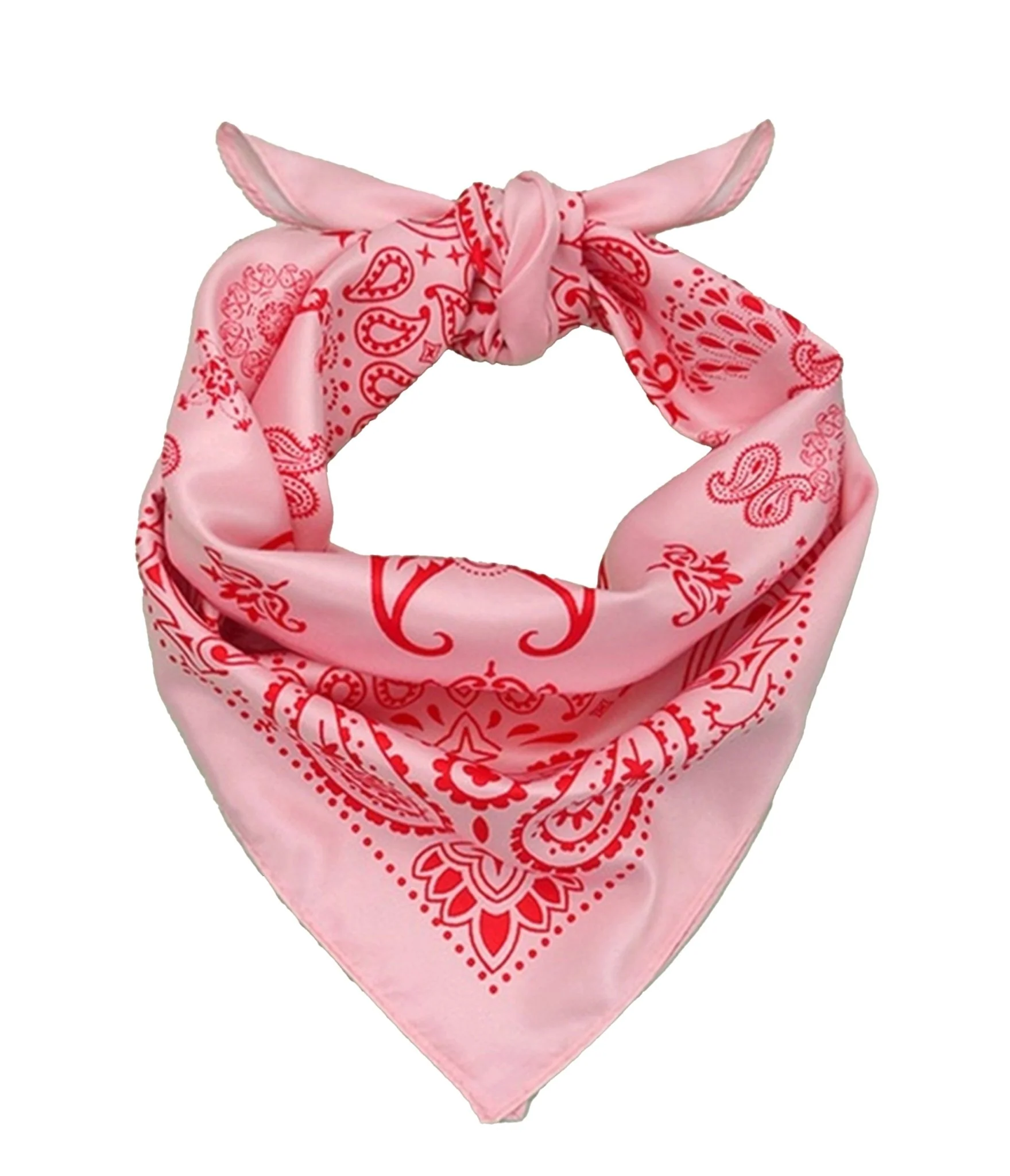 Pink Paisley Bandana Hair Scarf - Image 3