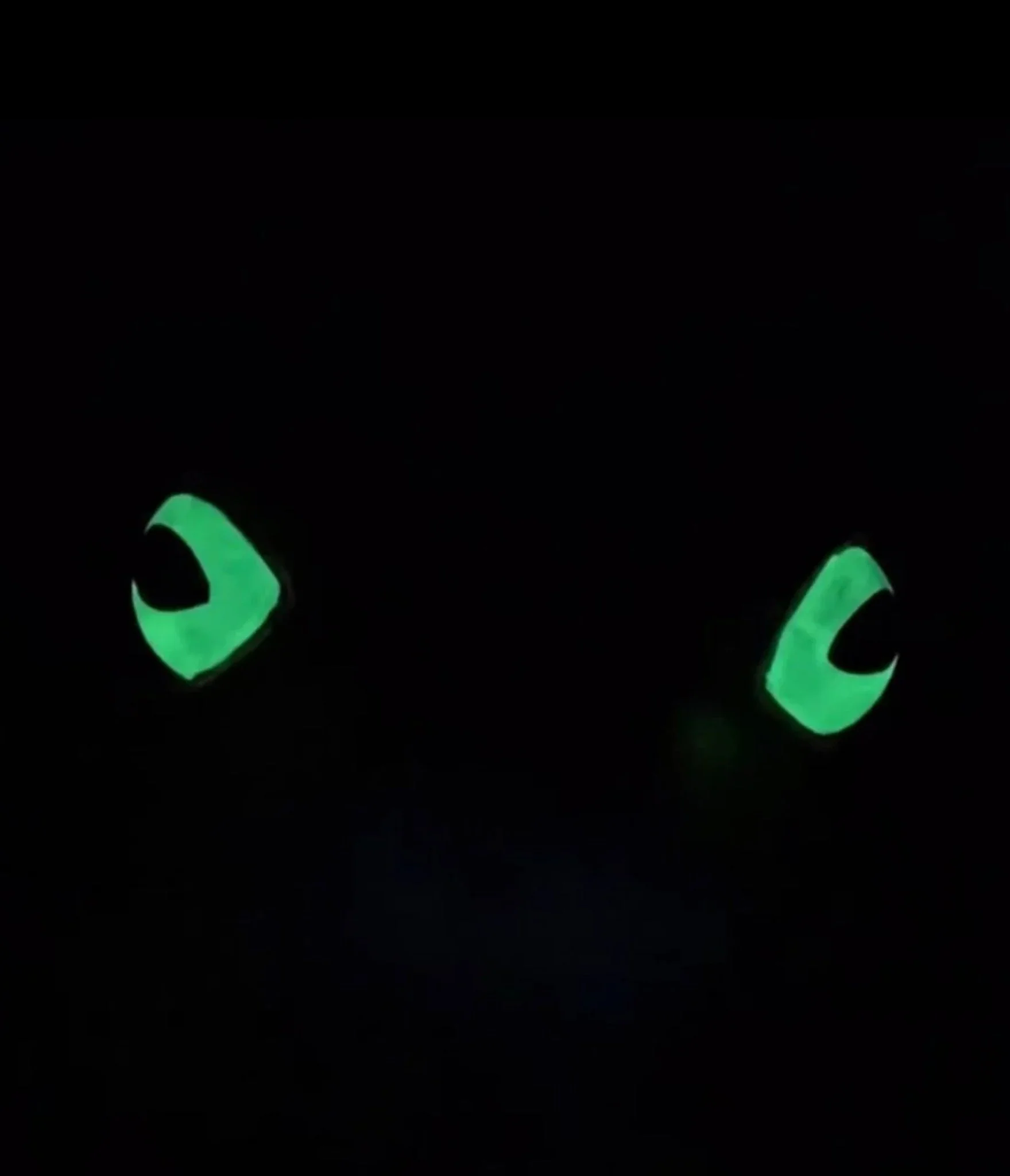 Windy Willow Glow in the Dark Purple Green Eye Toad Bag - Image 5